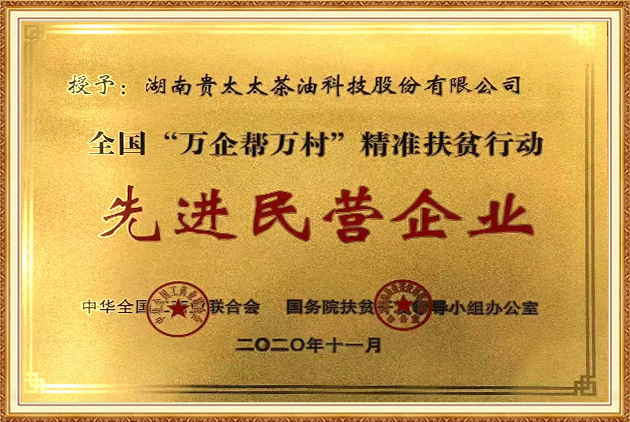 全國“萬企幫萬村”精準扶貧行動先進民營企業