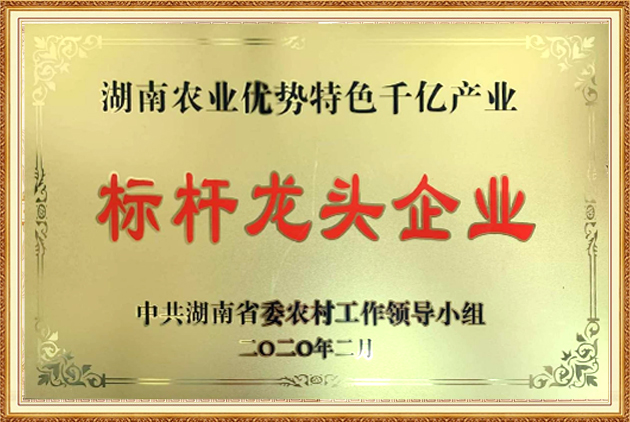 標桿龍頭企業
