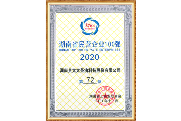 湖南省民營企業100強
