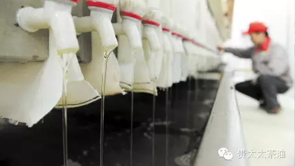 【長(zhǎng)沙晚報(bào)】湖南貴太太帶兩萬(wàn)農(nóng)戶奔小康